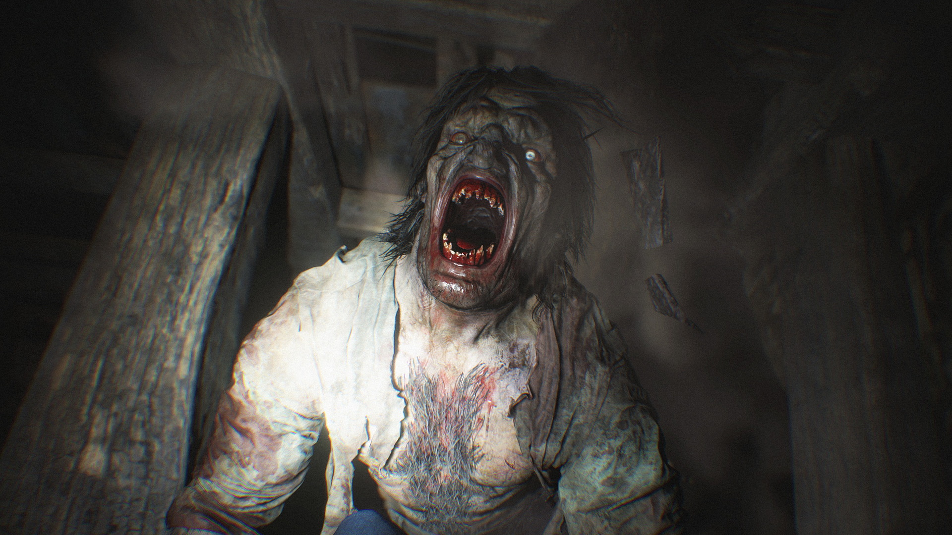 Resident Evil: Village - screenshot 10