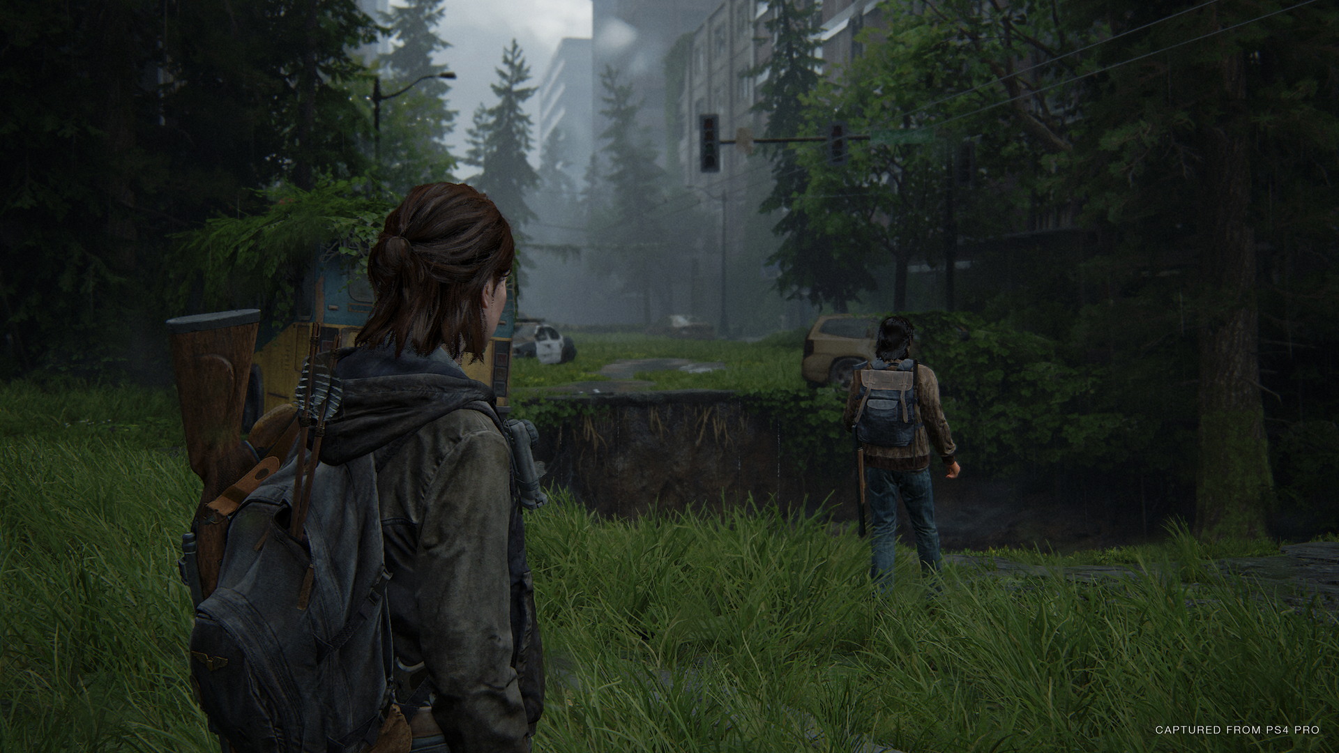 The Last of Us Part II - screenshot 36