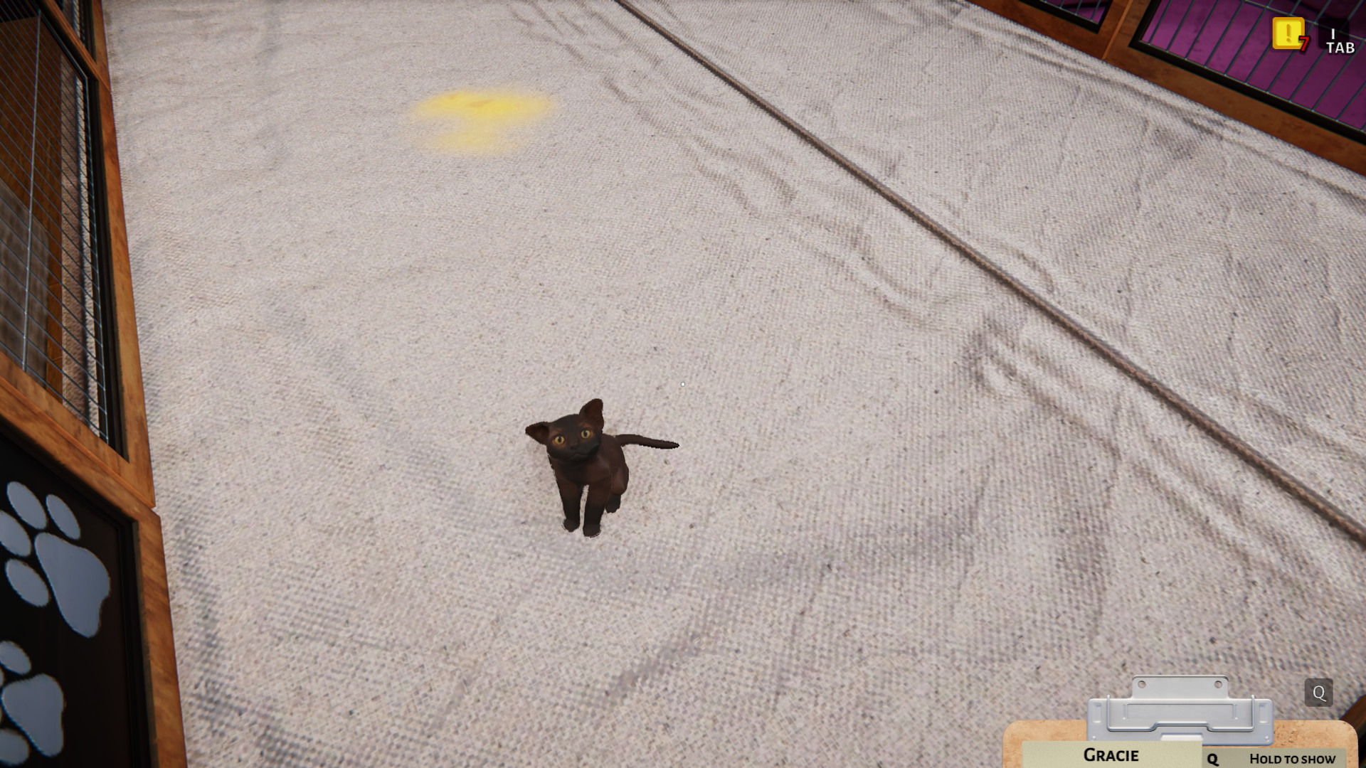 Animal Shelter - Puppies & Kittens - screenshot 16