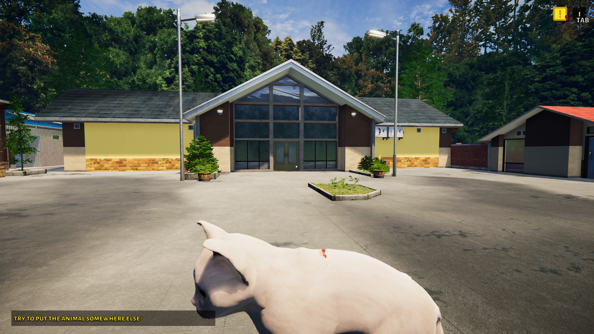 Animal Shelter - Puppies & Kittens - screenshot 10