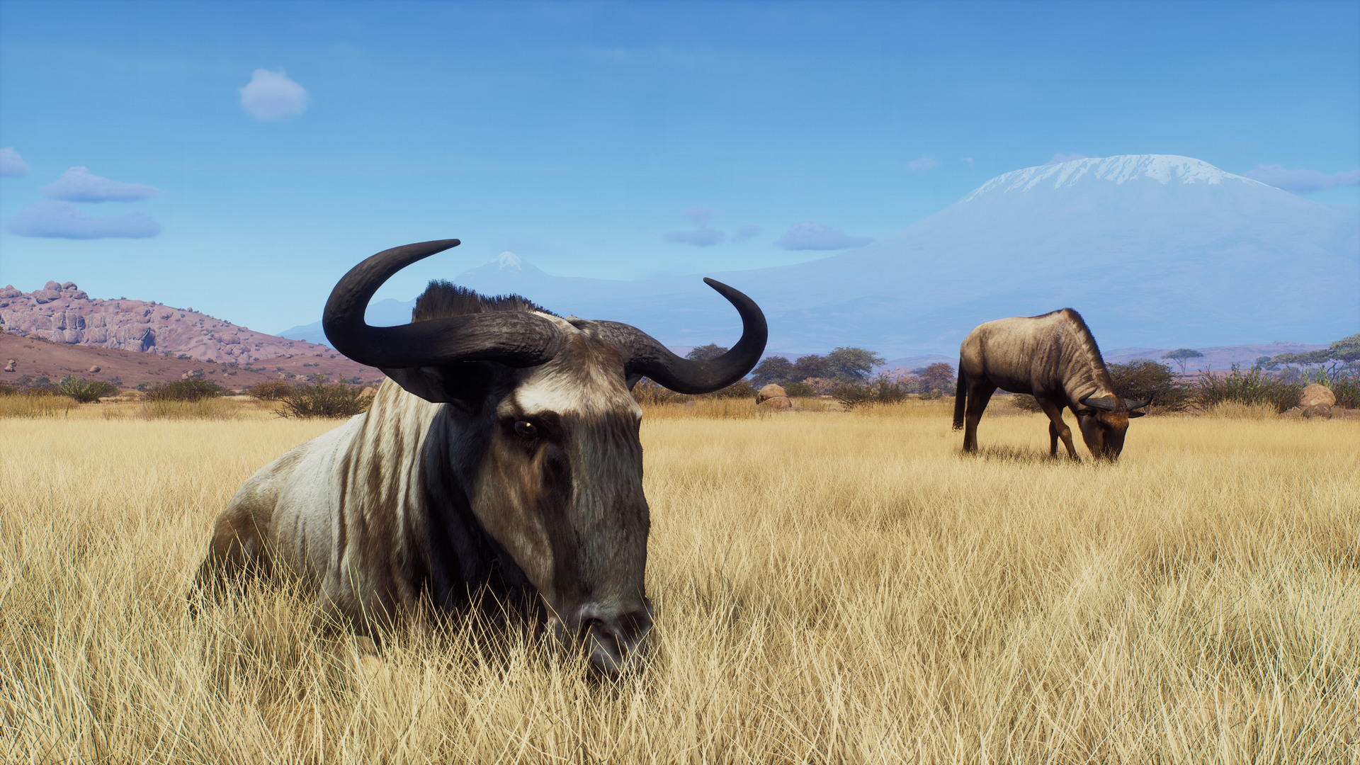 Way of the Hunter: Tikamoon Plains - screenshot 5