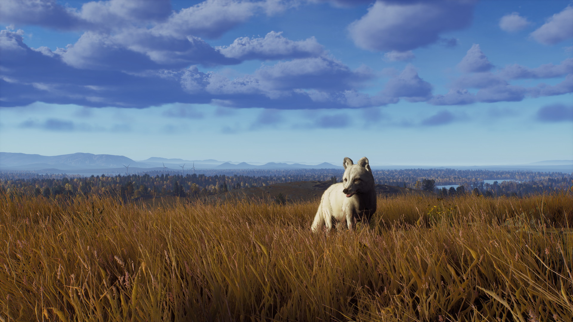 Way of the Hunter: Lintukoto Reserve - screenshot 19