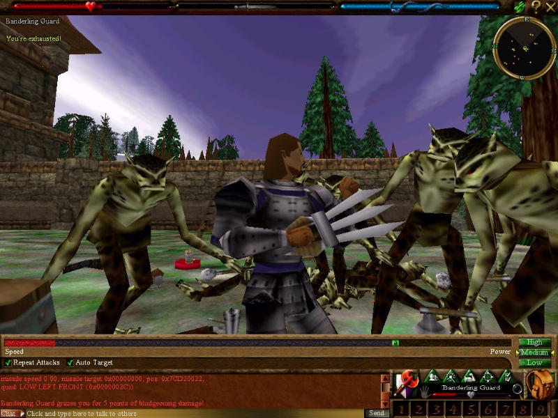 Asheron's Call - screenshot 15