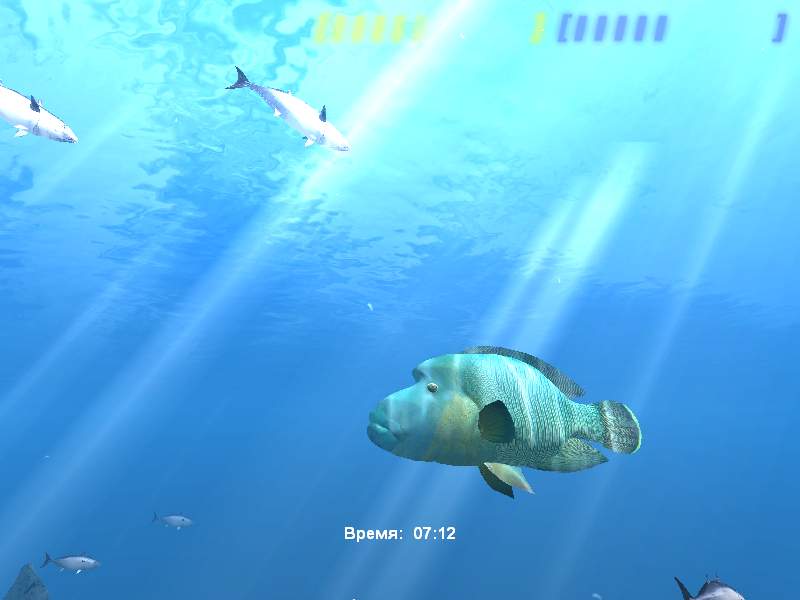 Diver: Deep Water Adventures - screenshot 113