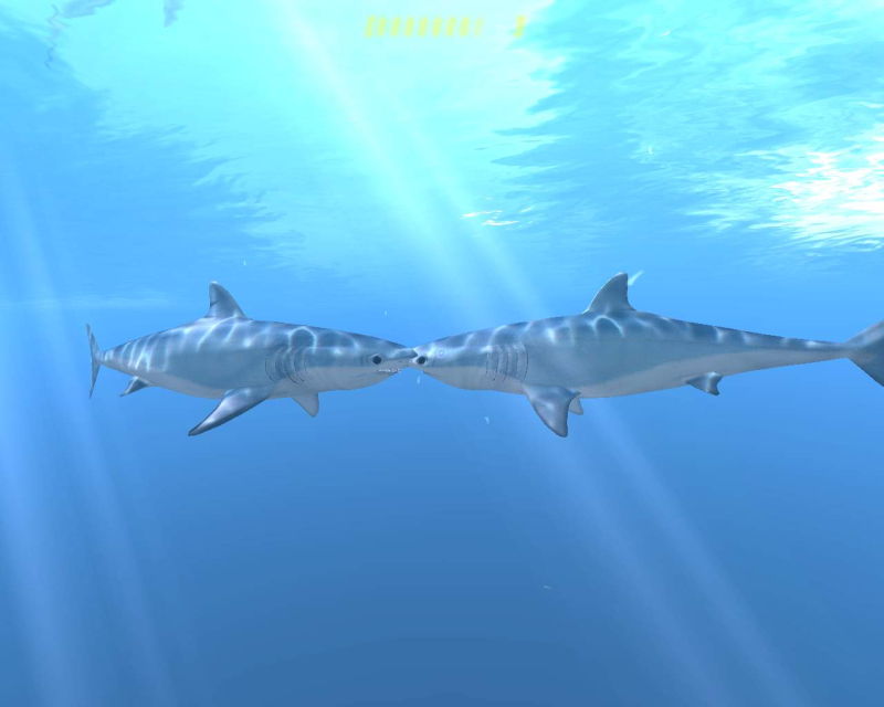 Diver: Deep Water Adventures - screenshot 87