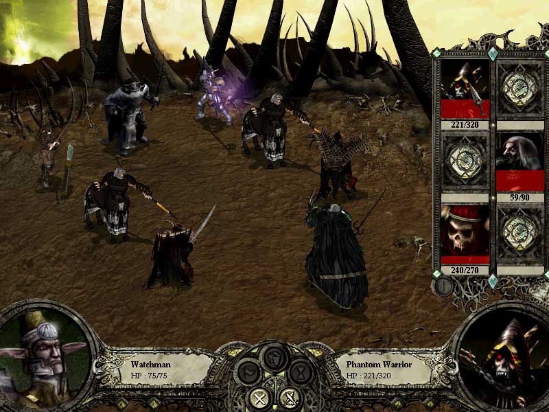 Disciples 2: Rise of the Elves - screenshot 4