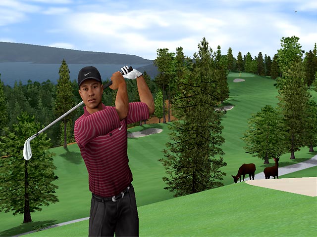 Tiger Woods PGA Tour 2005 - screenshot 23