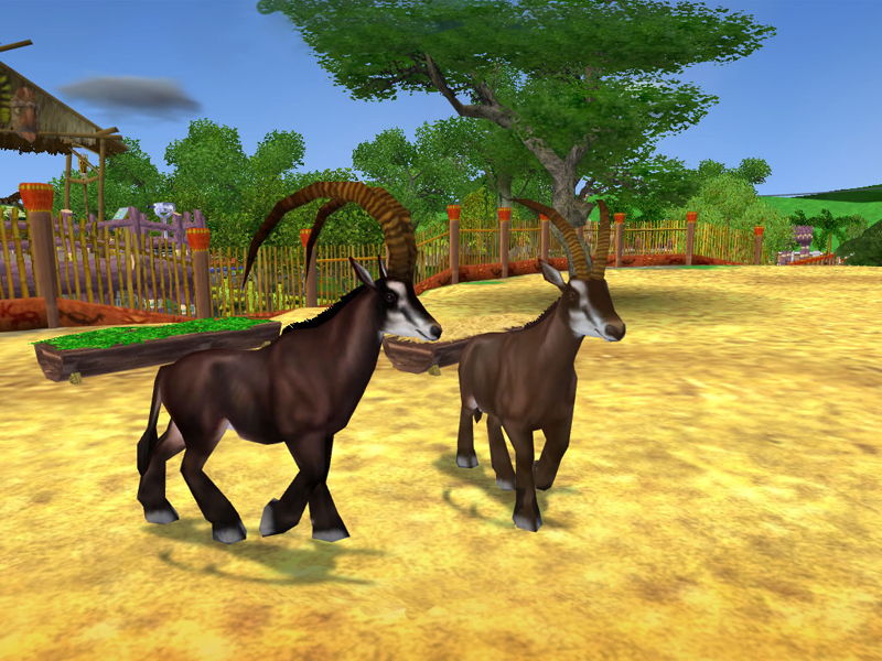 Zoo Tycoon 2: Zookeeper Collection - screenshot 10