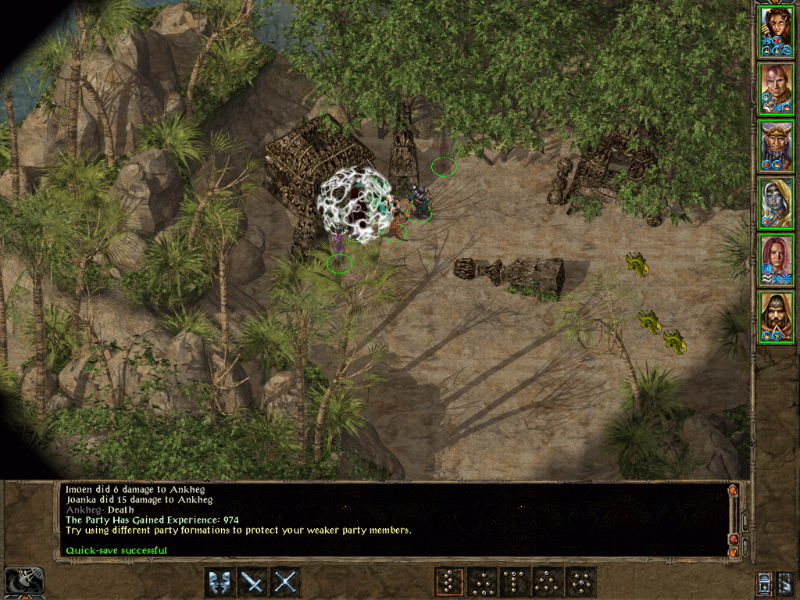 Baldur's Gate 2: Shadows of Amn - screenshot 36