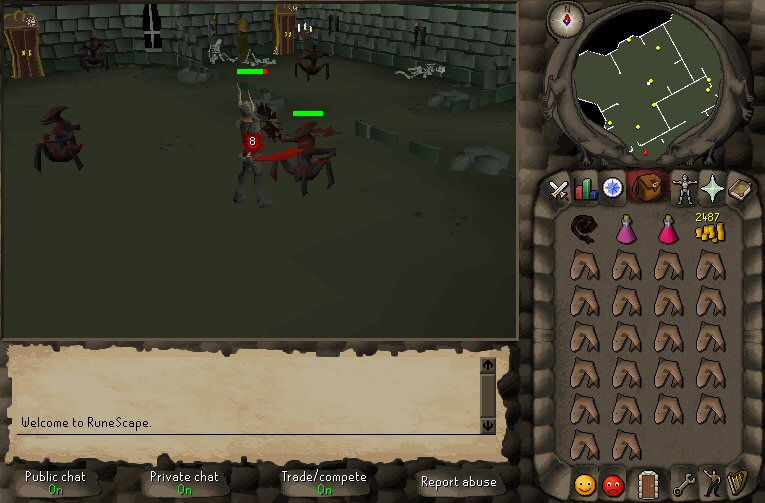 RuneScape - screenshot 42