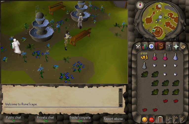 RuneScape - screenshot 23