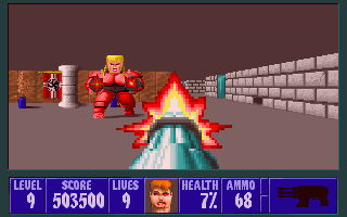 Wolfenstein 3D - screenshot 13