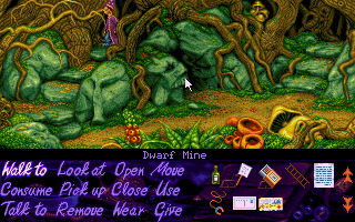 Simon the Sorcerer - screenshot 24