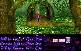 Simon the Sorcerer - screenshot 13