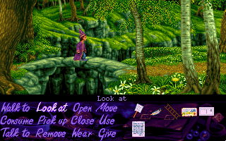 Simon the Sorcerer - screenshot 9