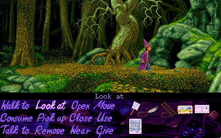 Simon the Sorcerer - screenshot 8