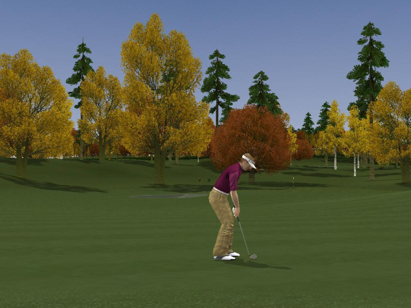 ProStroke Golf: World Tour 2007 - screenshot 21