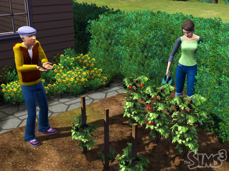 The Sims 3 - screenshot 65