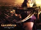 Guild Wars: Factions - wallpaper #1