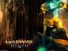 Guild Wars: Factions - wallpaper #2