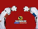 Tae Kwon Do World Champion - wallpaper #3