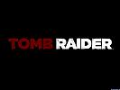 Tomb Raider - wallpaper #9