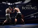 Real Boxing - wallpaper #2