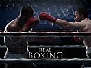 Real Boxing - wallpaper #5