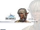 Final Fantasy XI: Online - wallpaper #21