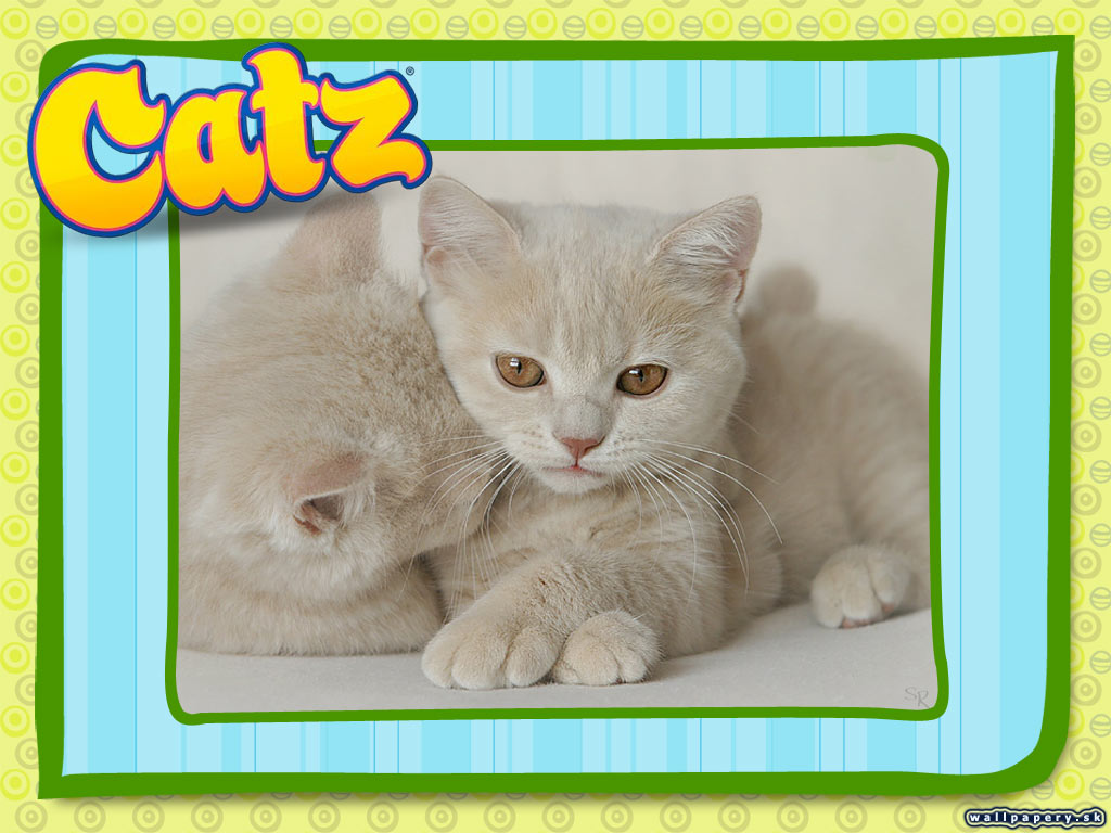 Catz 6 - wallpaper 2