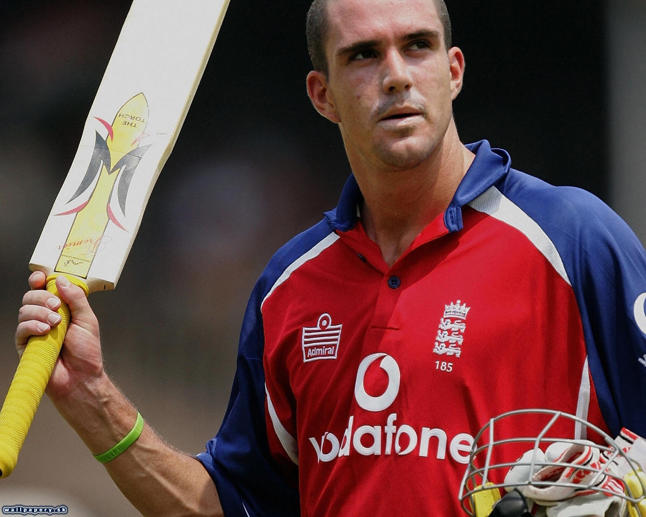 International Cricket Captain 2006 - wallpaper 1