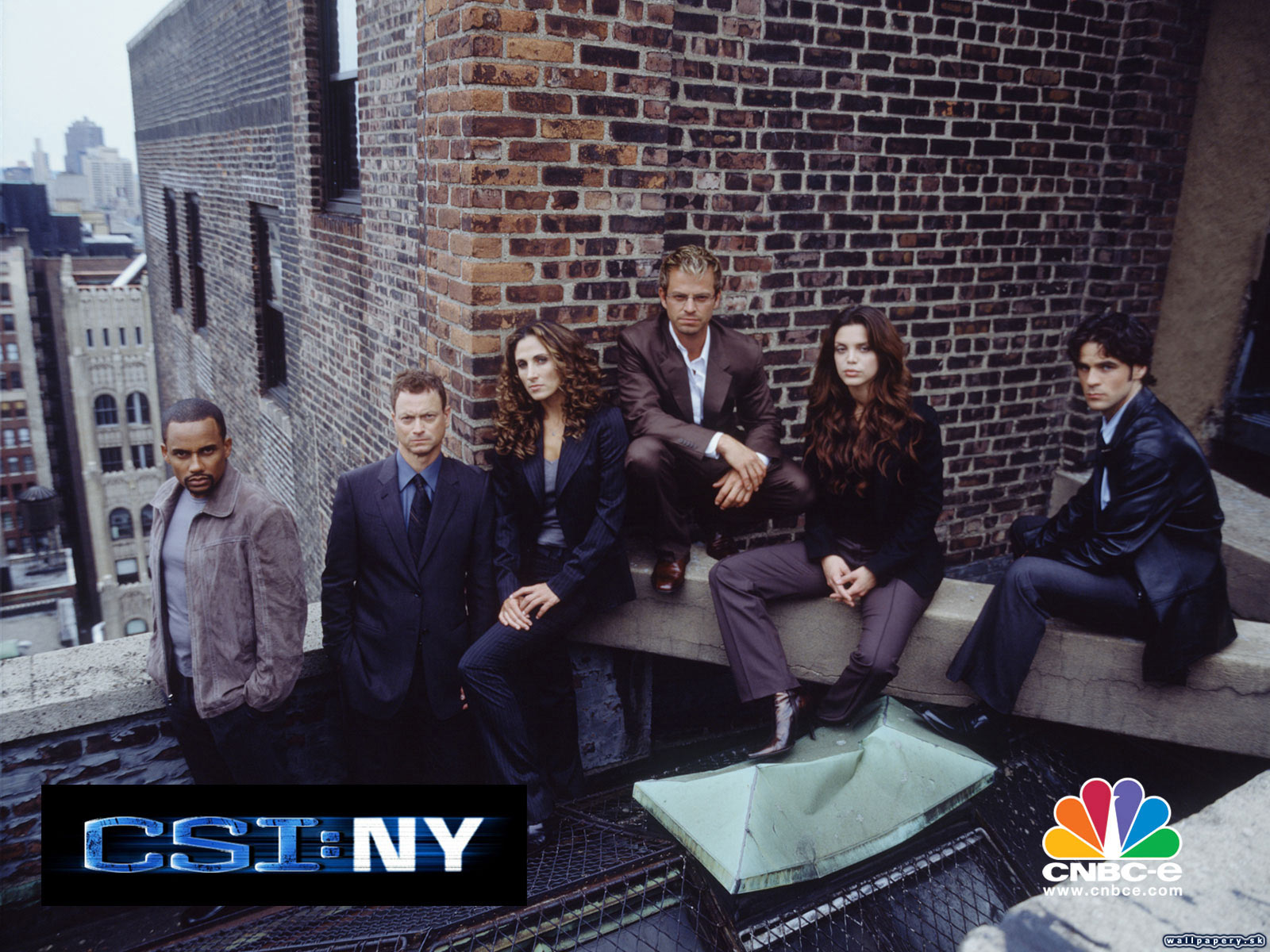 CSI: NY - wallpaper 2