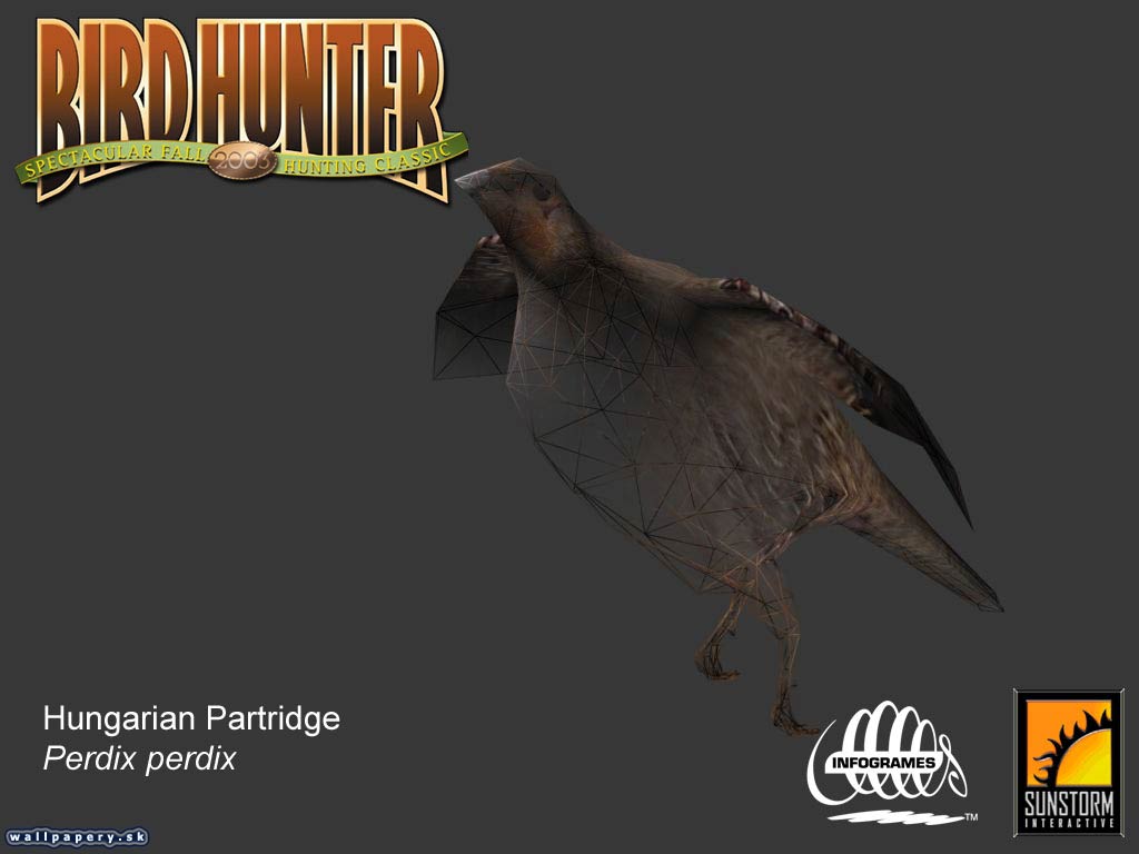 Bird Hunter 2003 - wallpaper 2