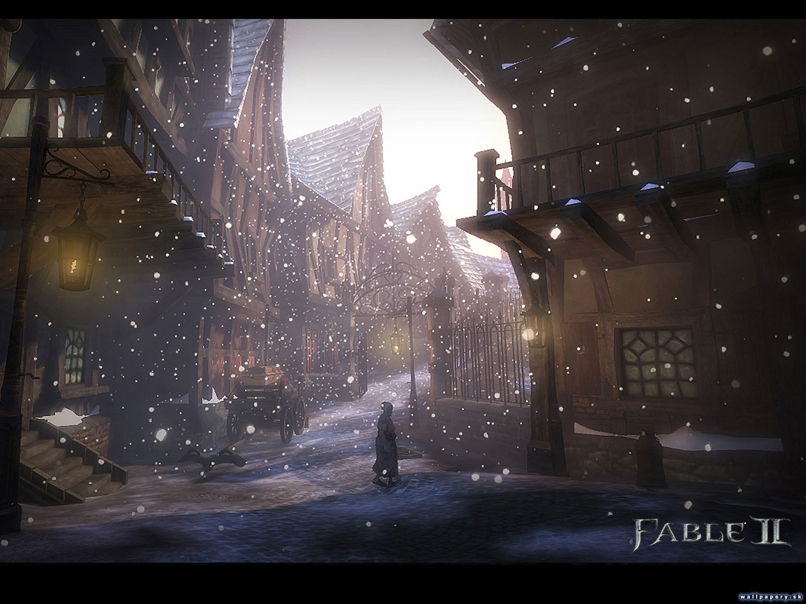 Fable II - wallpaper 26