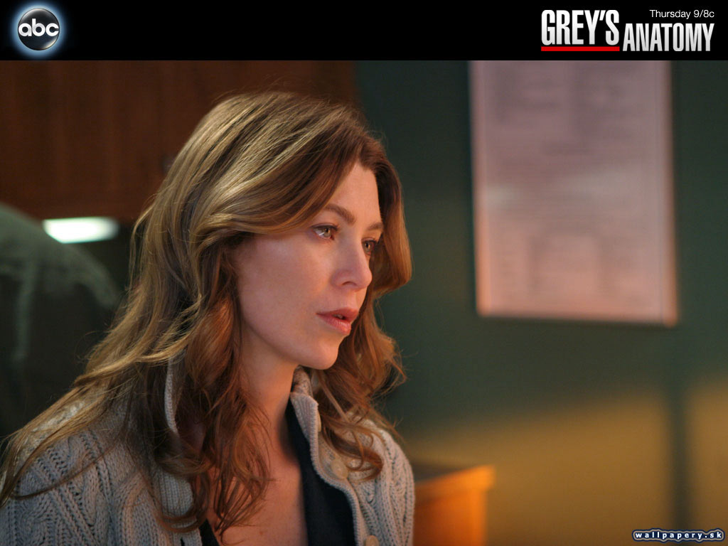 Greys Anatomy: The Video Game - wallpaper 19