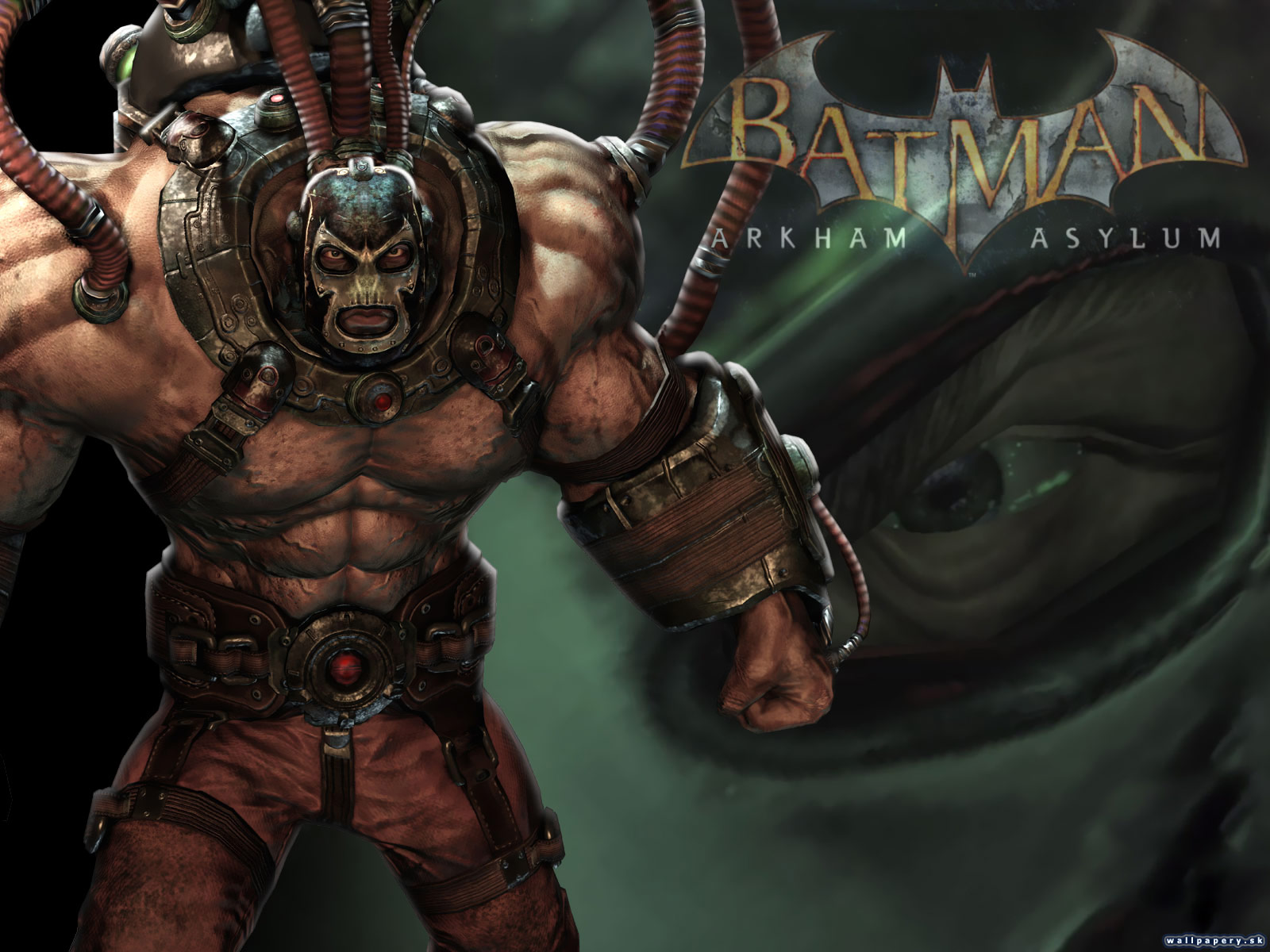 Batman: Arkham Asylum - wallpaper 8