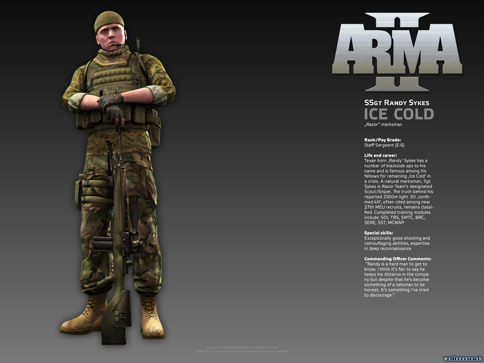 ARMA II - wallpaper 12