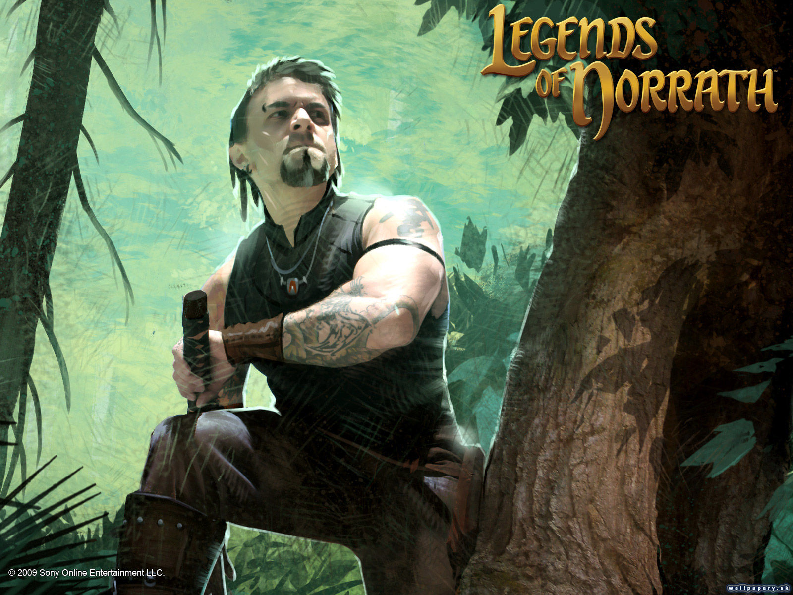 Legends of Norrath: Travelers - wallpaper 30