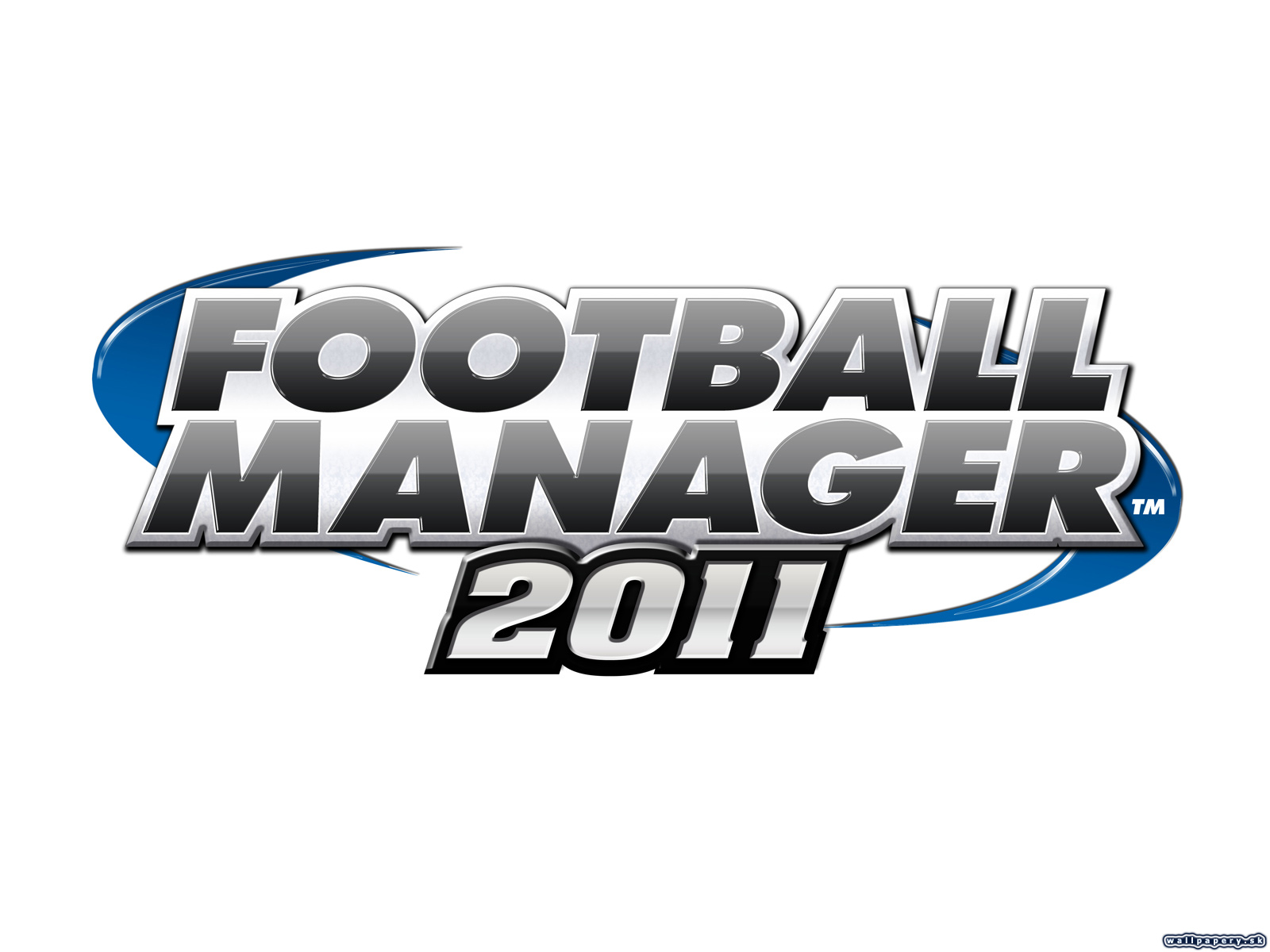 Football manager 2011 steam фото 102