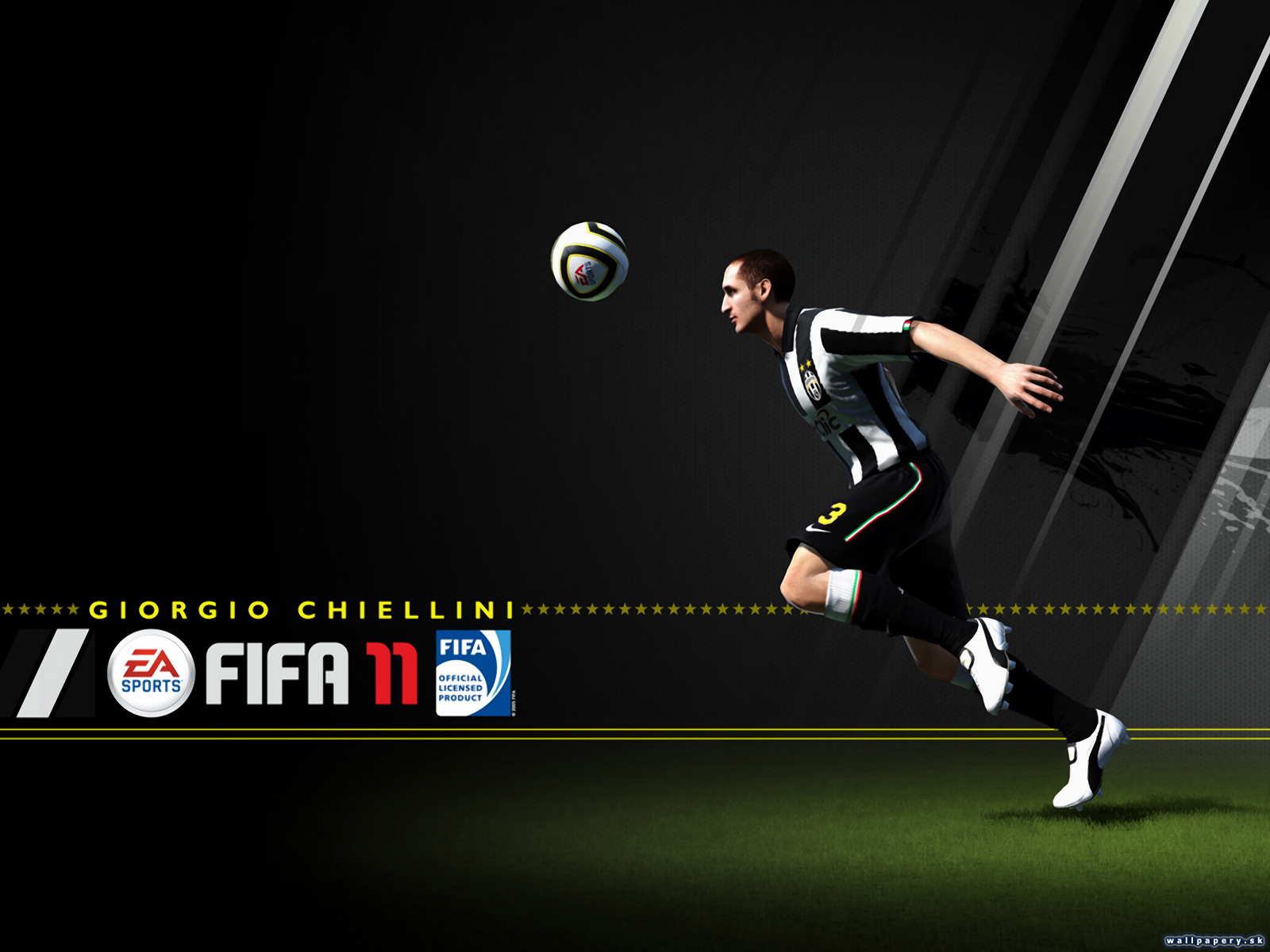 FIFA 11 - wallpaper 8