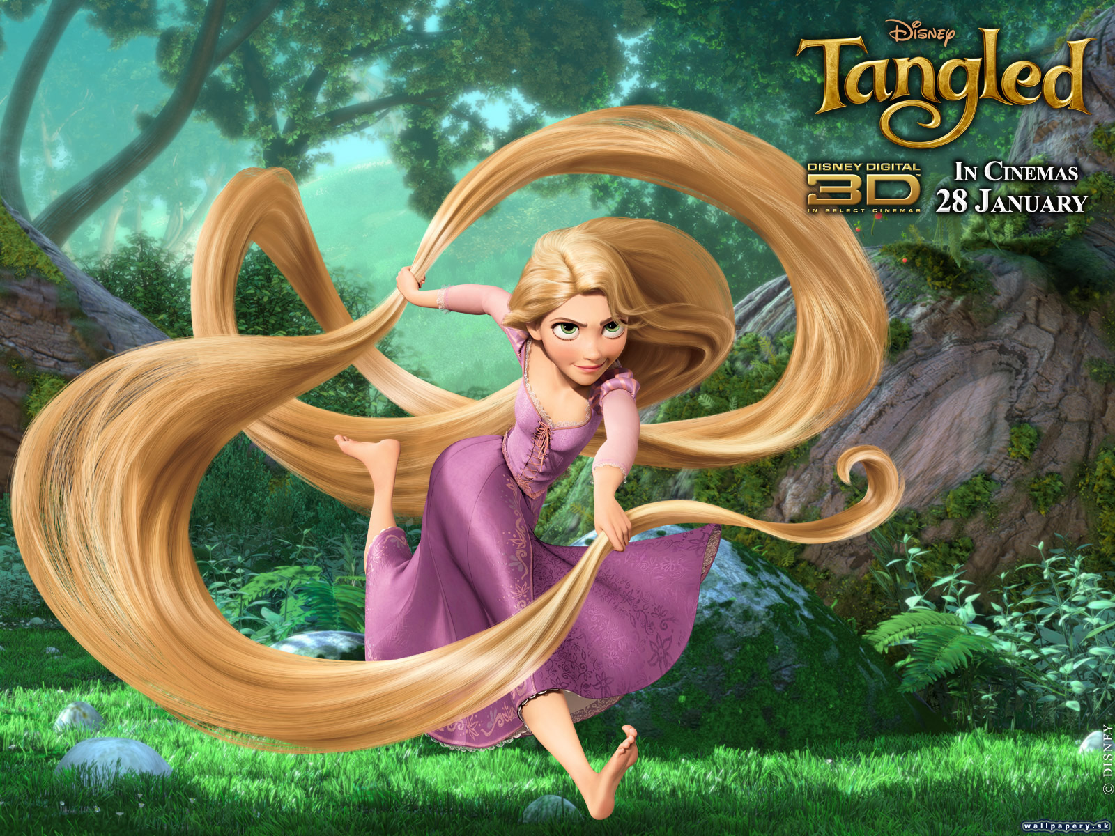 Disney Tangled: The Video Game - wallpaper 2