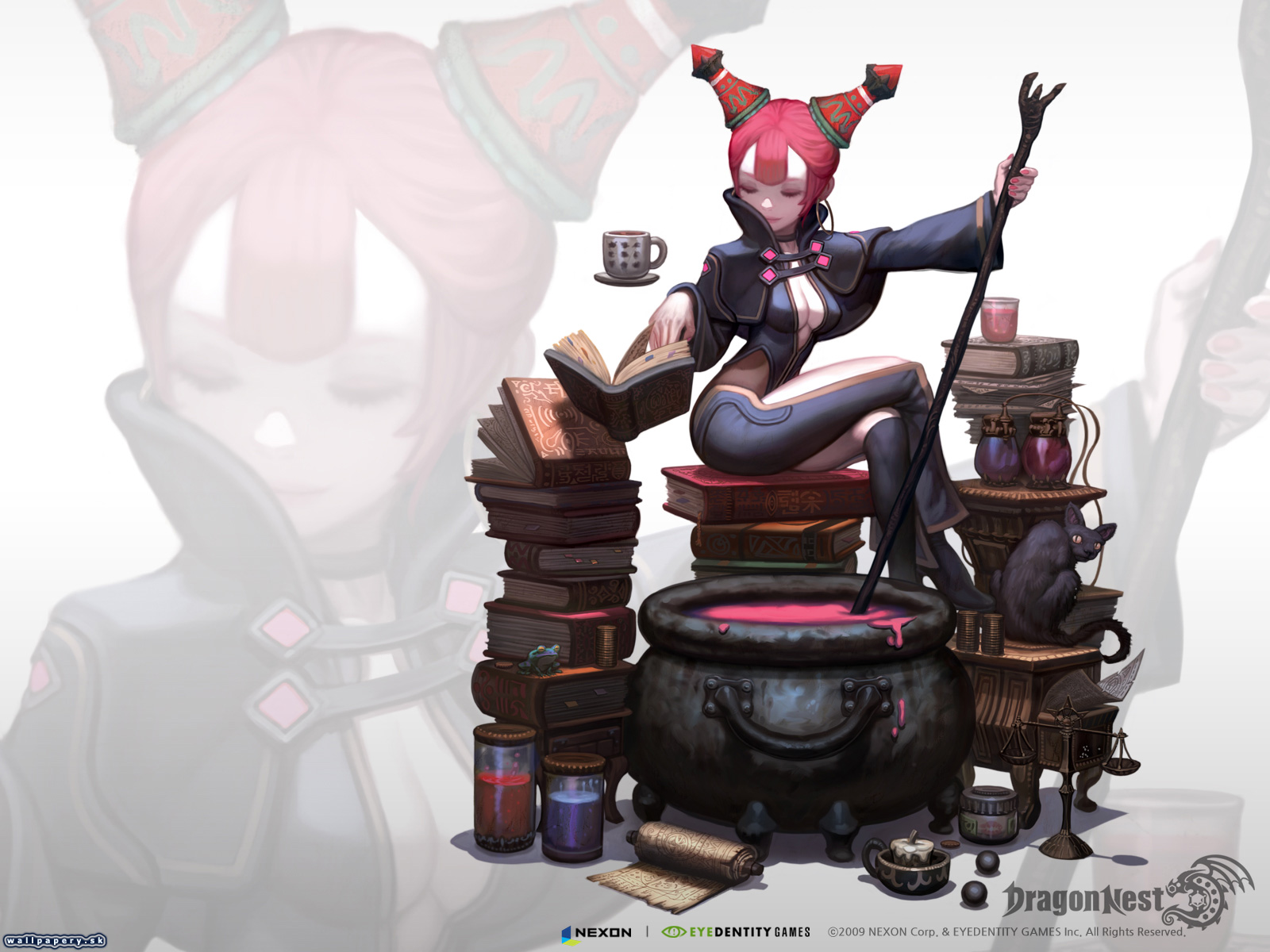 Dragon Nest - wallpaper 14