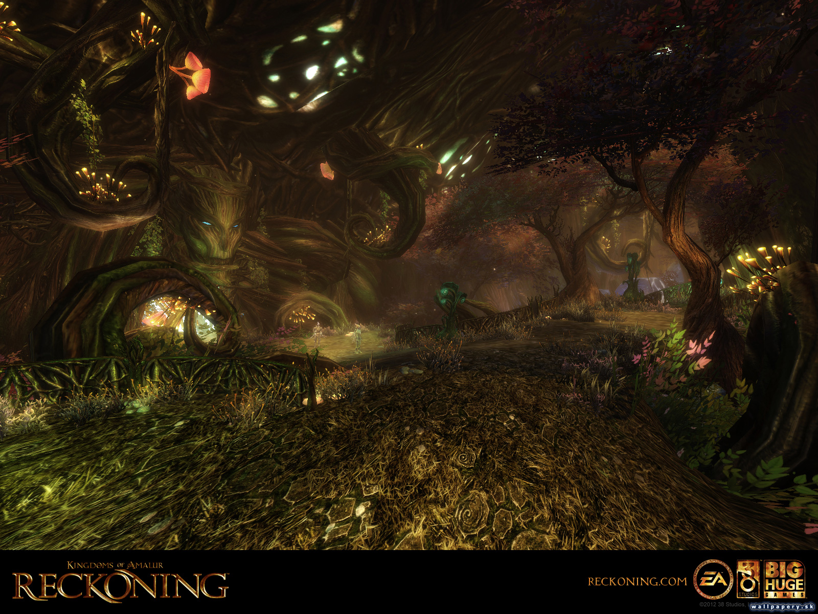 Kingdoms of Amalur: Reckoning - wallpaper 10