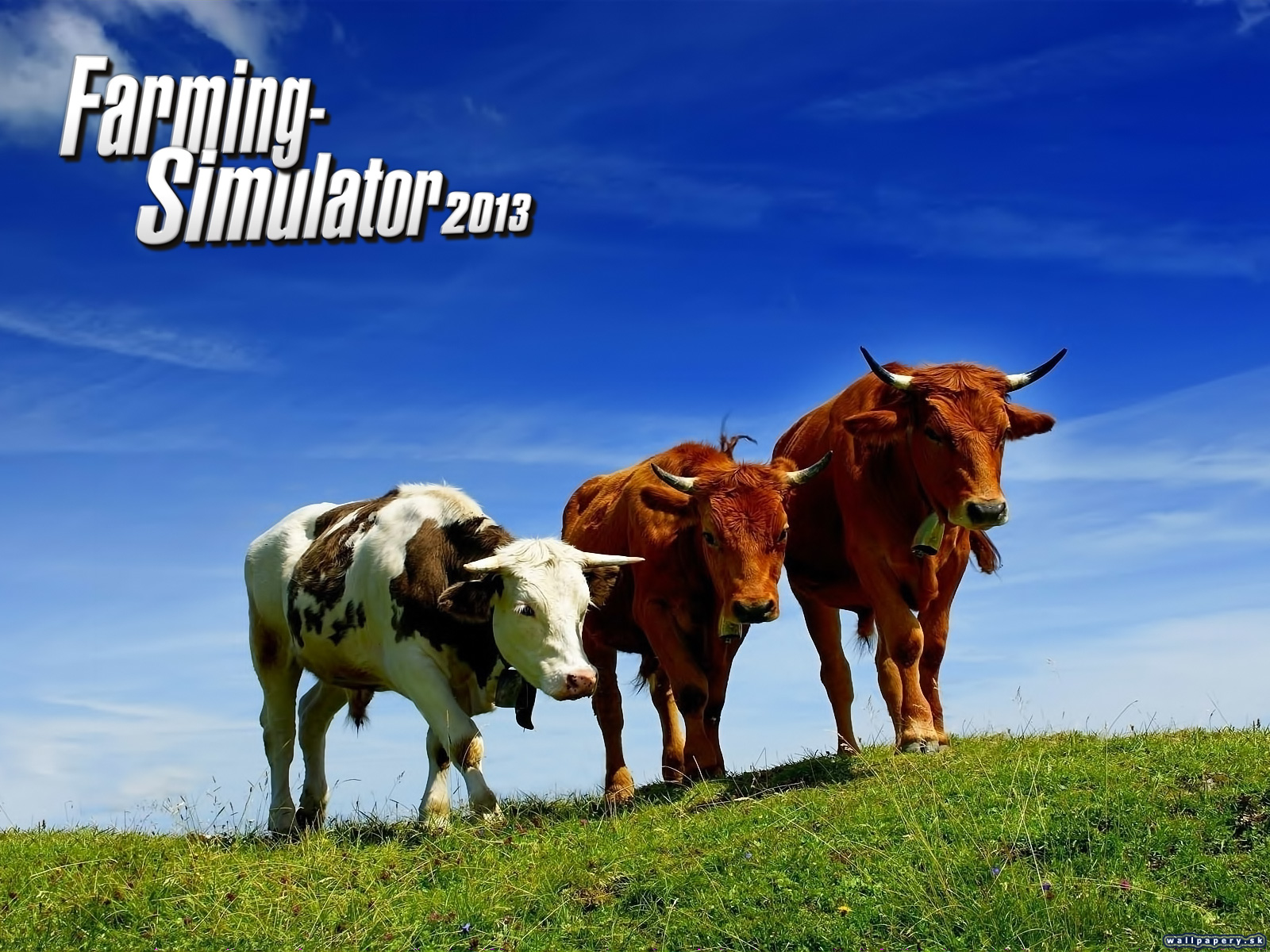 Farming Simulator 2013 - wallpaper 9