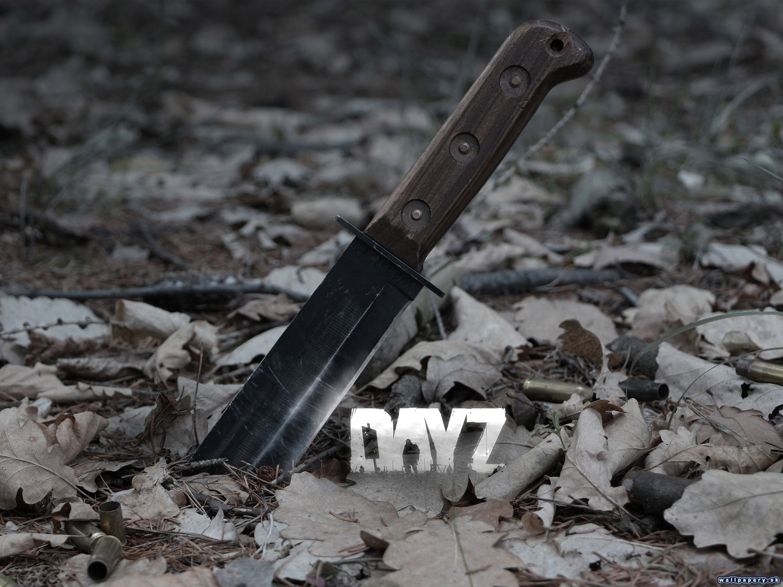 DayZ - wallpaper 3