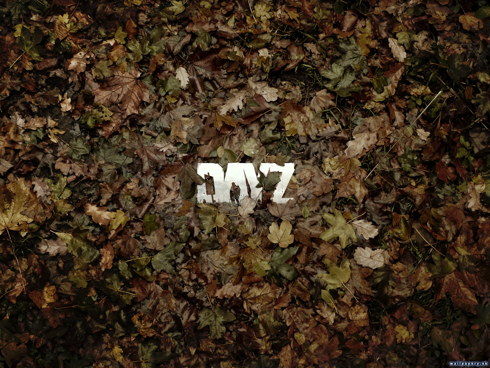 DayZ - wallpaper 5