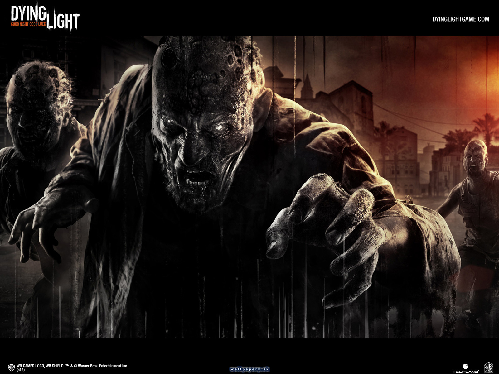 Dying Light - wallpaper 3