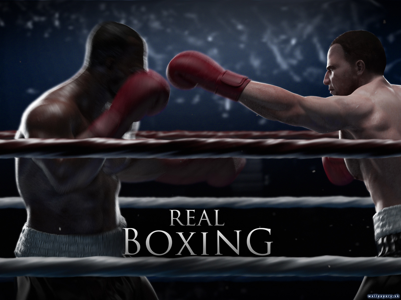 New boxing. Реал бокс коробка. Real Boxing обои. Живые обои бокс. Real Boxing трейлер.