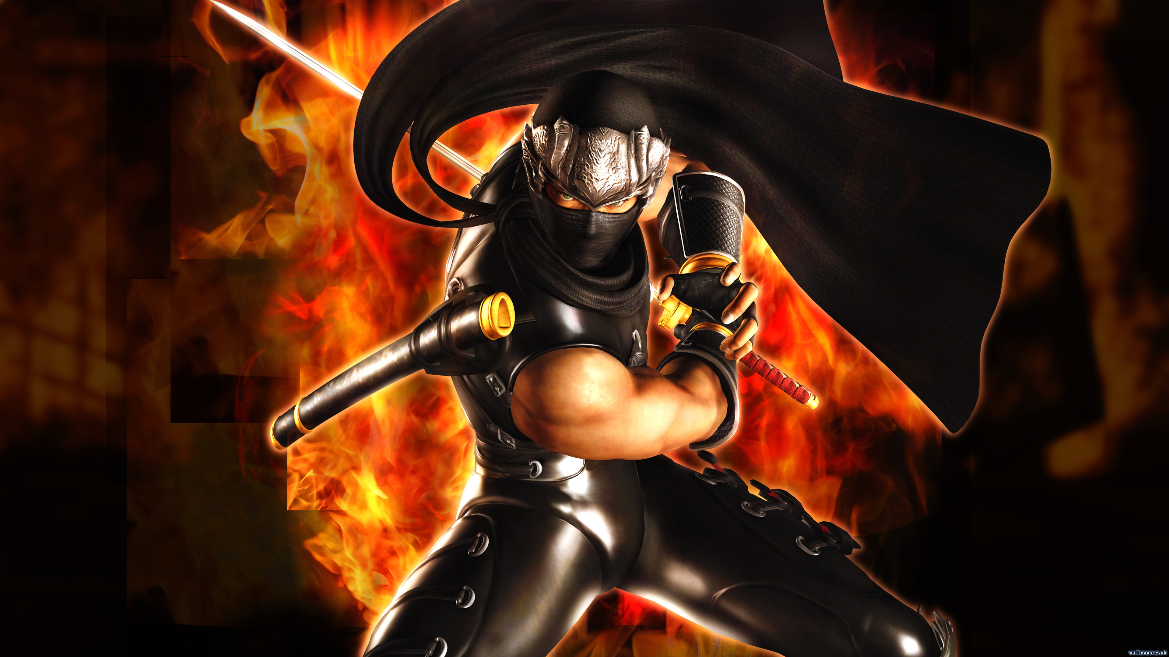 Ninja Gaiden: Master Collection - wallpaper 2