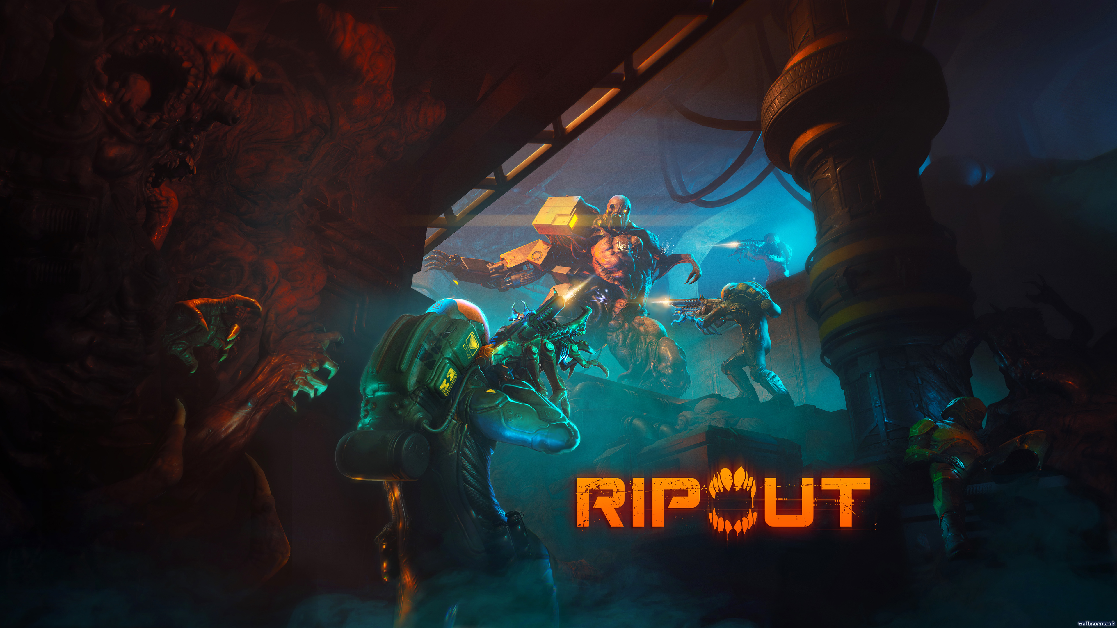 RIPOUT - wallpaper 1